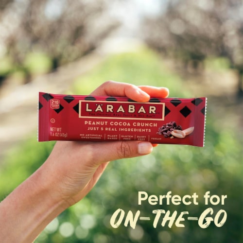 Larabar Peanut Cocoa Crunch Fruit and Nut Bars Perspective: top