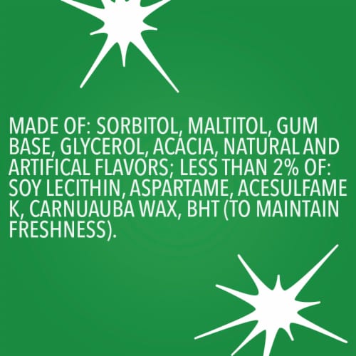 Orbit Gum Spearmint Sugar Free Chewing Gum Bulk Pack Perspective: top