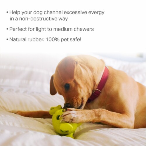 Petsafe indestructible dog sales toys