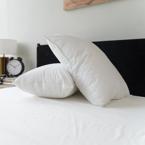 Sealy All Positions Bed Pillow Standard Queen Fred Meyer