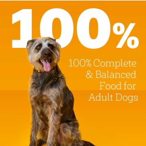 Pedigree Chopped Ground Dinner Adult Canned Soft Wet Dog Food Beef Bacon & Cheese Perspective: top
