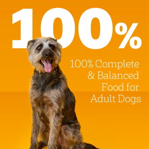 Pedigree Chopped Ground Dinner Adult Canned Soft Wet Dog Food Chicken Perspective: top