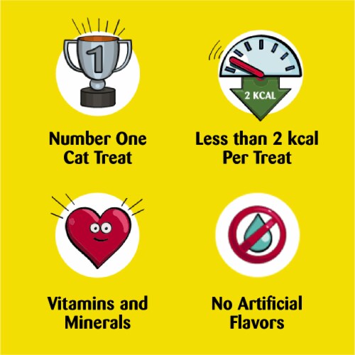 Temptations Indoor Care Chicken Adult Cat Treats Perspective: top