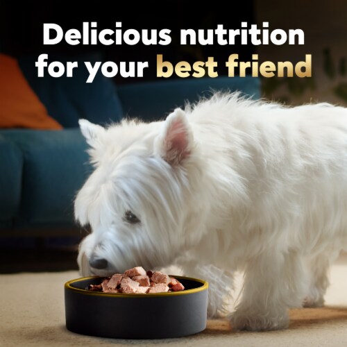 Cesar Adult Soft Wet Dog Food Beef Filet Mignon Chicken & Porterhouse Steak Variety Pack Perspective: top
