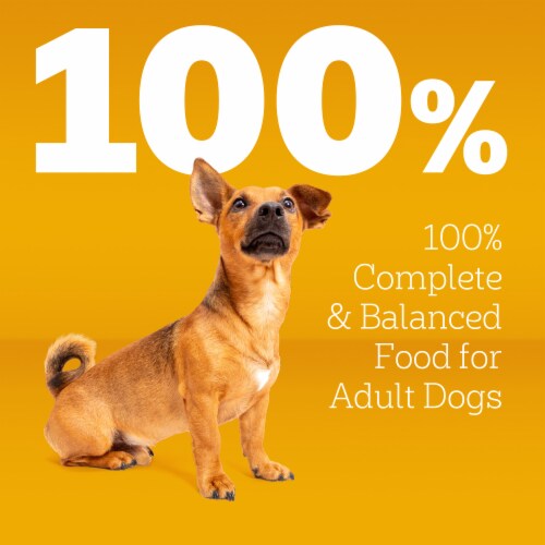 Pedigree Small Dog Adult Dry Dog Food Chicken Rice and Vegetable Flavor Perspective: top