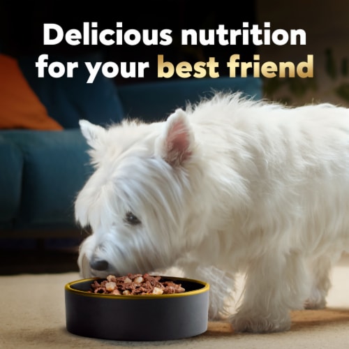 Cesar Home Delights Soft Wet Dog Slow Cooked Chicken & Vegetables & Beef Stew Food Variety Pack Perspective: top