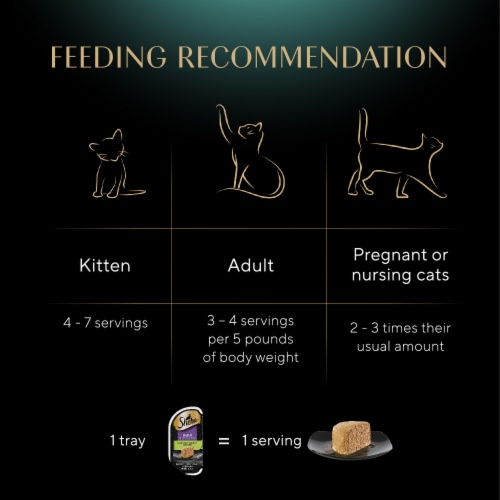 Sheba Perfect Portions Adult Wet Cat Food Pate Roasted Turkey Perspective: top