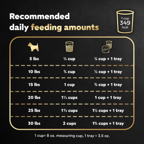 Cesar Small Breed Dry Dog Food Rotisserie Chicken Flavor with Spring Vegetables Garnish Perspective: top