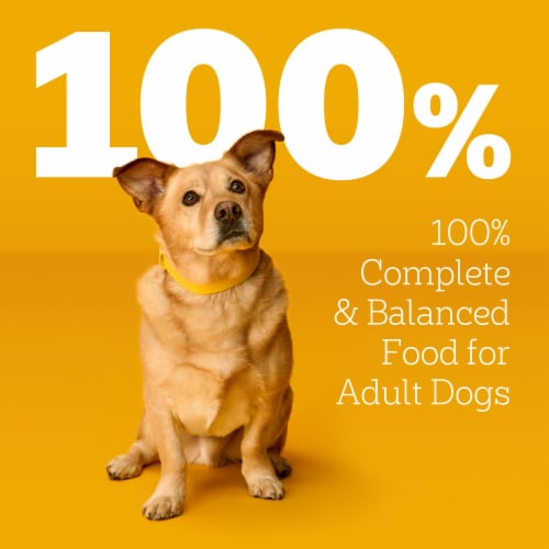 Pedigree Chopped Ground Dinner Beef Bacon & Cheese Adult Soft Wet Dog Food Pouch Perspective: top