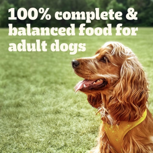 PEDIGREE CHOICE CUTS™ IN GRAVY Filet Mignon Adult Soft Wet Dog Food Pouch Perspective: top