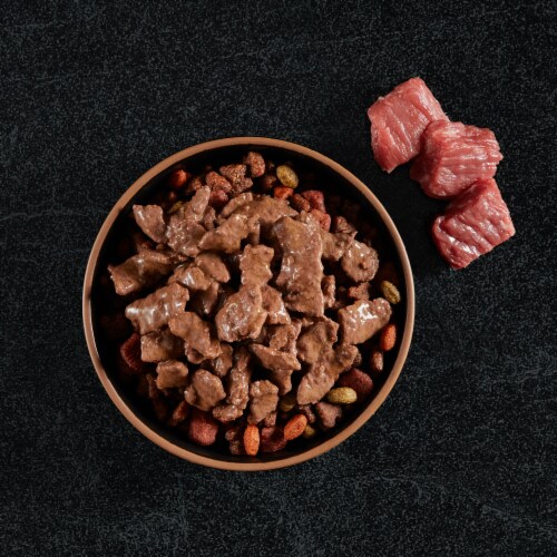 Cesar Filet Mignon New York Strip and Prime Rib Adult Wet Dog Food Perspective: top