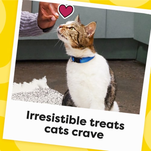 Temptations Classic Crunchy and Soft Adult Cat Treats Rockin' Lobster Perspective: top