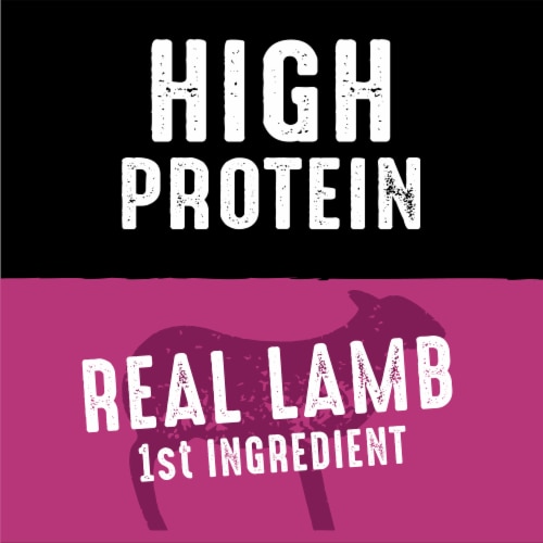 Crave Grain Free Lamb Dry Dog Food Perspective: top