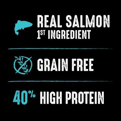 Crave Salmon & Ocean Fish Adult High Protein Grain Free Dry Cat Food Perspective: top