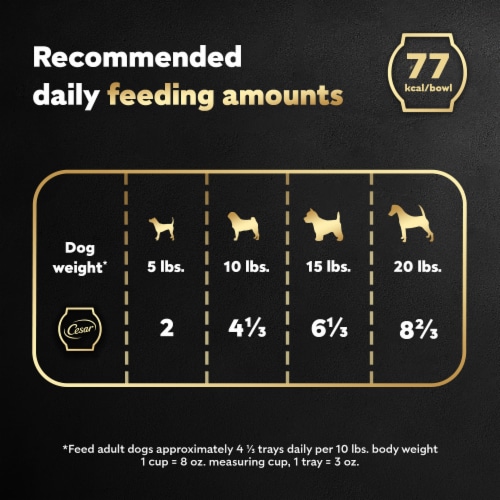 Cesar® Wholesome Bowls Chicken Sweet Potatoes & Green Beans in Broth Wet Dog Food Perspective: top