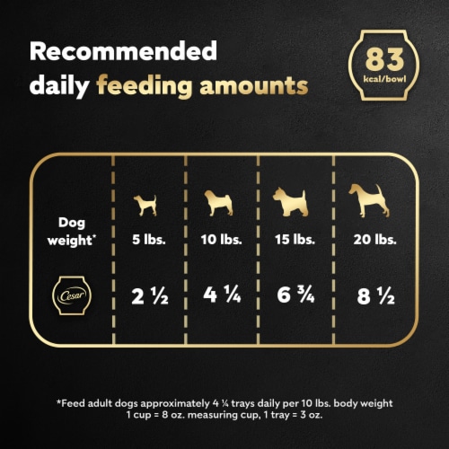 Cesar Wholesome Bowls Adult Soft Wet Dog Food Topper Chicken Beef Purple Potatoes & Carrots Perspective: top