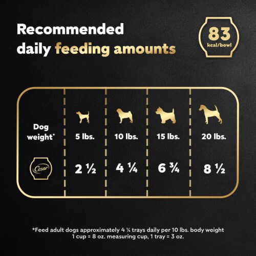 Cesar Wholesome Bowls™ Chicken Beef Purple Potatoes & Carrots Adult Soft Wet Dog Food Topper Perspective: top