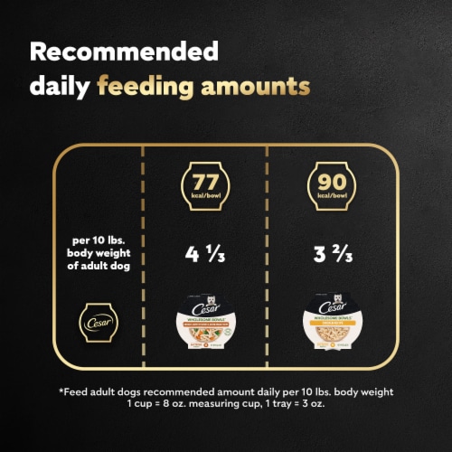 Cesar® Wholesome Bowls® Chicken Recipe and Chicken Sweet Potato & Green Beans Wet Dog Food Perspective: top