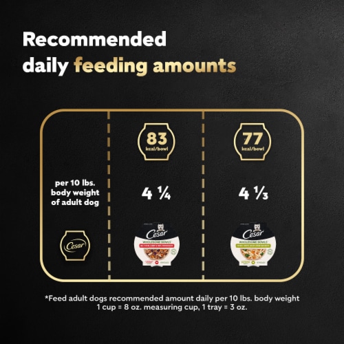 CESAR Wholesome Bowls™ Chicken Carrots Barley Green Beans & Beef Chicken Potatoes Adult Wet Dog Food Perspective: top