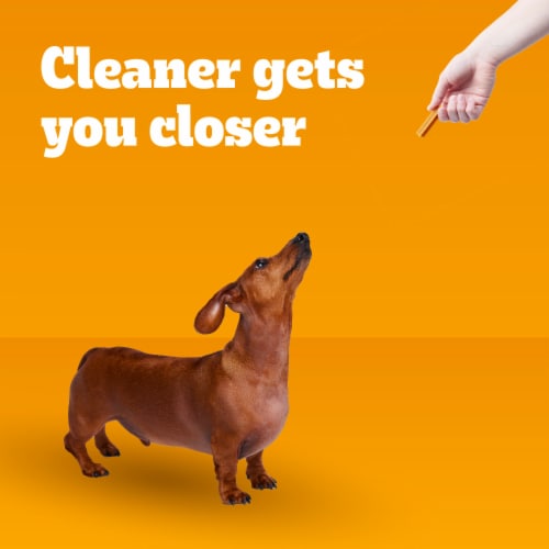 Pedigree dog treats dentastix online
