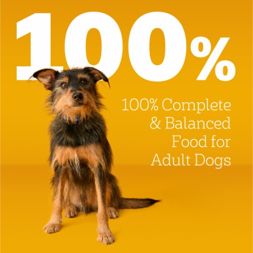 Pedigree Complete Nutrition Adult Dry Dog Food Grilled Steak & Vegetable Flavor Perspective: top