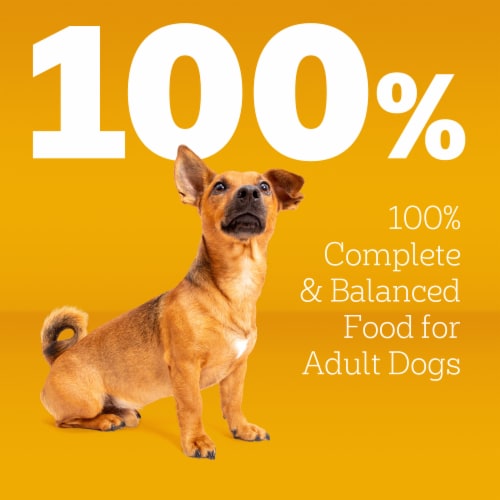 Pedigree Complete Nutrition Roasted Chicken Rice & Vegetable Flavor Small Dog Adult Dry Dog Food Perspective: top