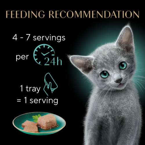 Sheba Perfect Portions Wet Kitten Food Pate Chicken & Salmon Variety Pack Perspective: top