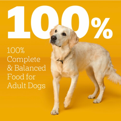 Pedigree MarroBites Steak & Vegetable Adult Dry Dog Food Perspective: top