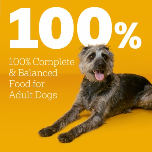 Pedigree Adult Dry Dog Food Roasted Chicken & Vegetable Flavor With Bacon Flavored Bites Perspective: top