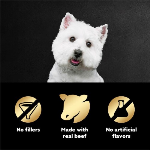 Cesar Filets in Gravy Wet Dog Food Mini-Pouch Filet Mignon Perspective: top