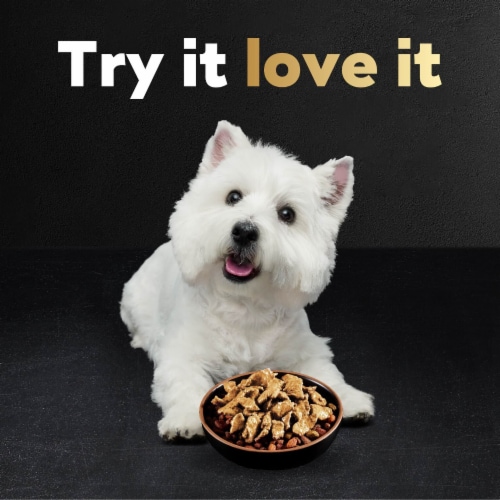 Cesar Filets in Gravy Wet Dog Food Mini-Pouch Wood-Grilled Chicken Perspective: top