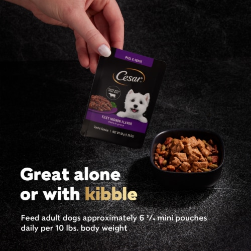 Cesar Filets in Gravy Filet Mignon and Rotisserie Chicken Wet Dog Food Variety Pack Mini-Pouches Perspective: top