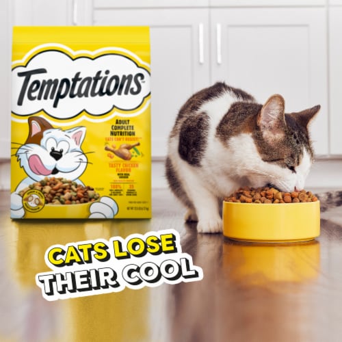 Temptations Adult Dry Cat Food Tasty Chicken Perspective: top