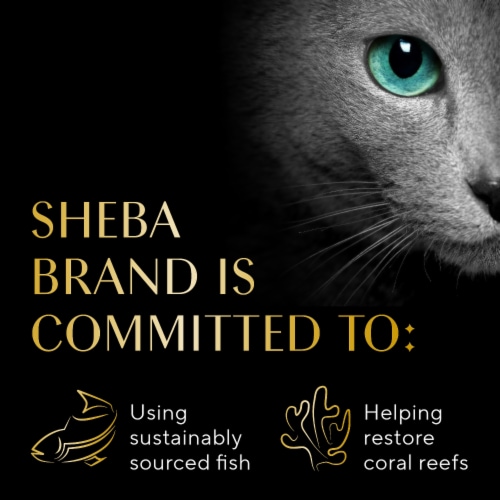 Sheba Selections Filets in Broth Cat Meal Complement Adult Chicken & Shrimp Recipe Perspective: top
