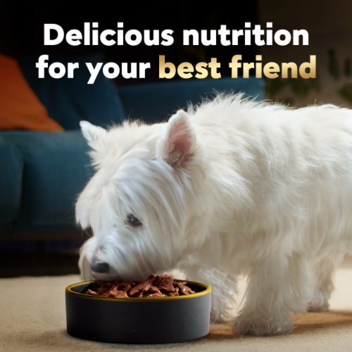 Cesar Filet Mignon & New York Strip Adult Soft Wet Dog Food Variety Pack Perspective: top