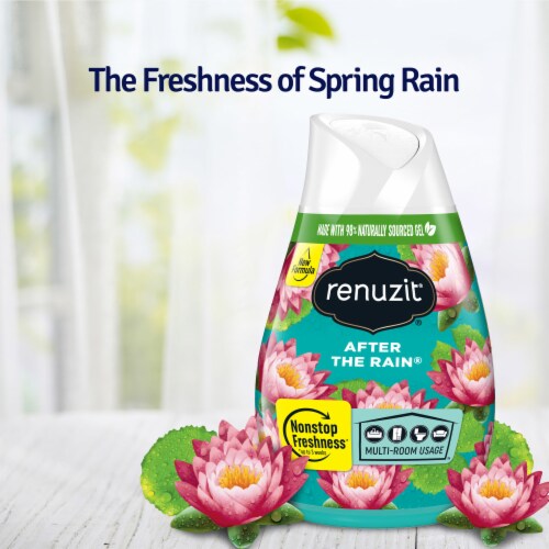 Renuzit® After the Rain Gel Air Fresheners Value Pack Perspective: top