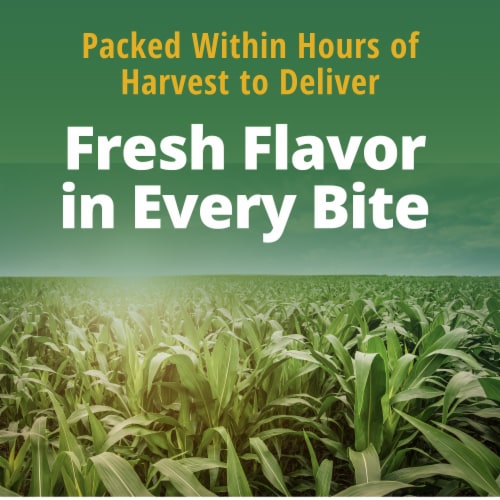 Del Monte Whole Kernel Gold and White Corn Perspective: top