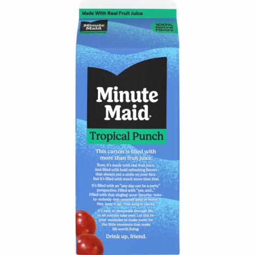 Minute Maid Tropical Punch Carton Perspective: top