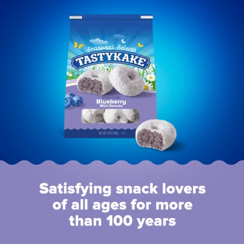 Tastykake Blueberry Mini Donuts, Shareable Blueberry Flavored Powered Donuts Perspective: top