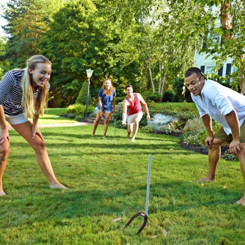 Franklin Professional Horseshoes Perspective: top