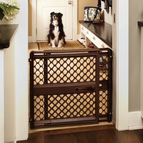 Dog gate 42 inches wide deals