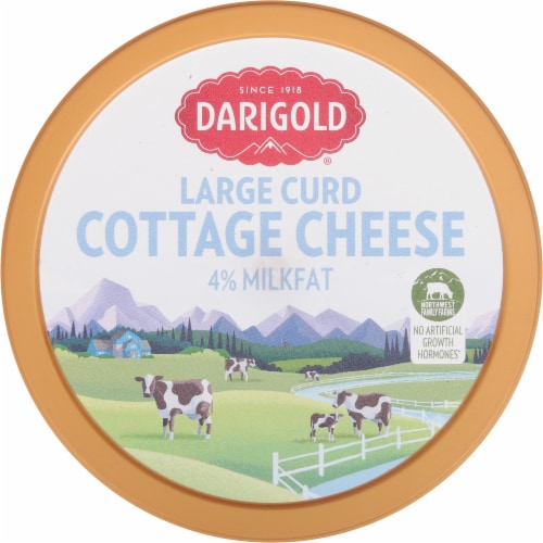 Darigold® 4% Small Curd Cottage Cheese Perspective: top