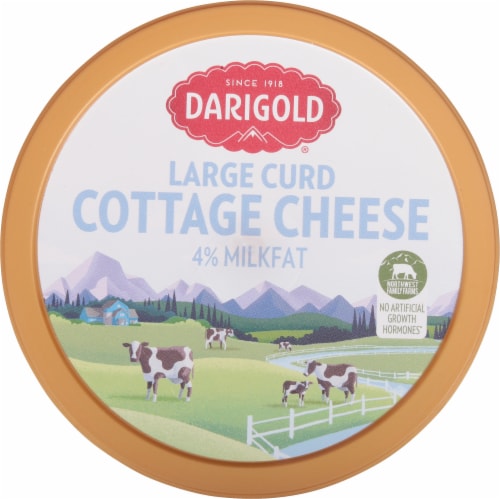 Darigold® Small Curd Cottage Cheese Perspective: top