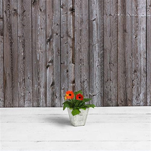 Novelty Artstone 8 x 7.81 in. Mint Resin & Stone Powder Ella Flower Pot Perspective: top