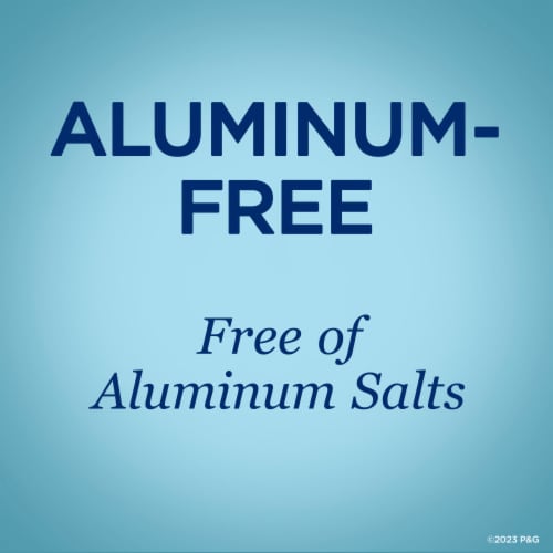 Secret Aluminum Free Rose Deodorant Perspective: top