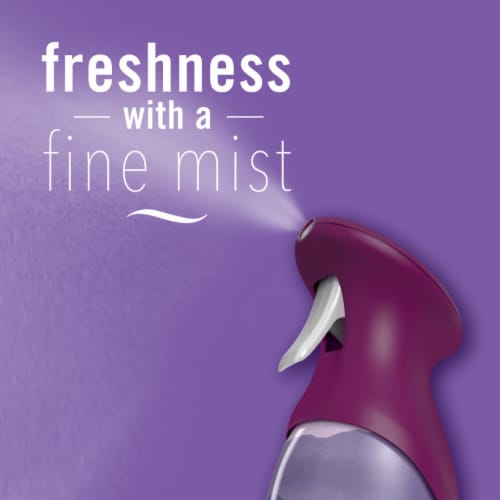 Febreze Mountain Scent Odor-Fighting Air Freshener Aerosol Can Perspective: top