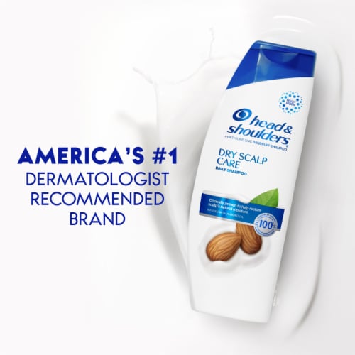 Head & Shoulders Dry Scalp Care Dandruff Shampoo Perspective: top
