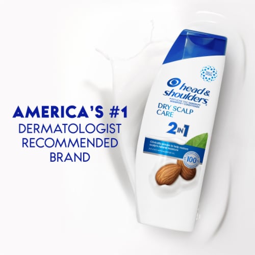 Head and Shoulders 2 in 1 Dry Scalp Care Dandruff Shampoo and Conditioner Perspective: top