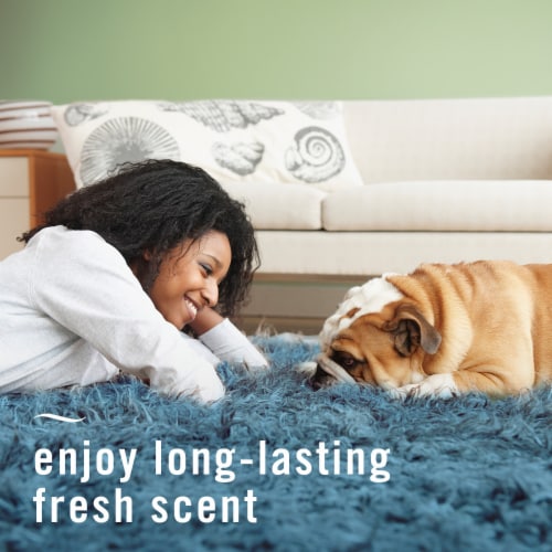 Febreze Fabric Spray Air Freshener Odor-Fighting Fabric Refresher Pet Odor Fighter Perspective: top