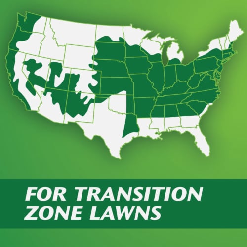 Scotts® PatchMaster® Tall Fescue Lawn Repair Mix Perspective: top